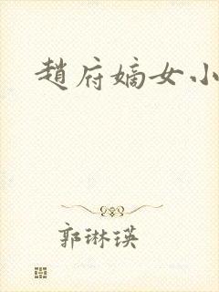 赵府嫡女小说封面