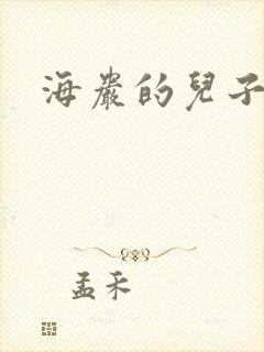 海岩的儿子