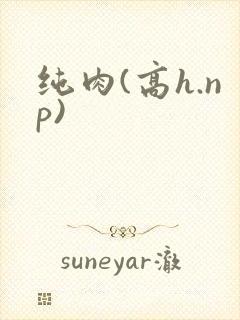 纯肉(高h.np)