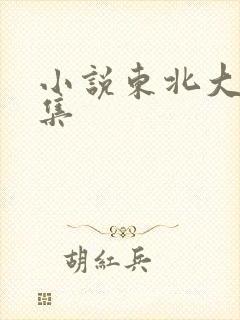 小说东北大炕全集