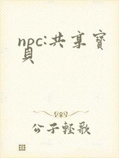 npc:共享宝贝