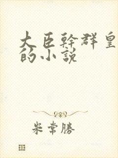 大臣干群皇太后的小说封面