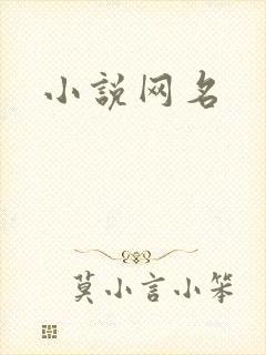 小说网名