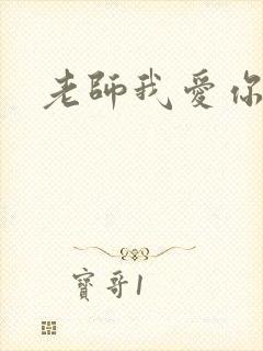 老师我爱你封面