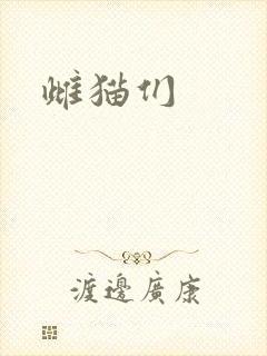 雌猫们
