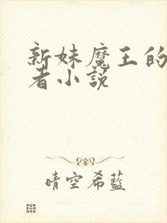新妹魔王的契约者小说封面