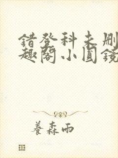 错登科未删减笔趣阁小圆镜