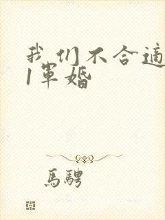我们不合适1v1军婚
