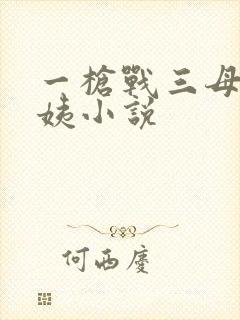 一枪战三母2雪姨小说