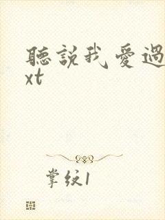 听说我爱过你txt