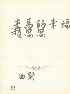 老马的幸福生活赵思思