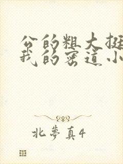 公的粗大挺进了我的密道小说