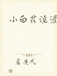 小白花浇灌日常封面