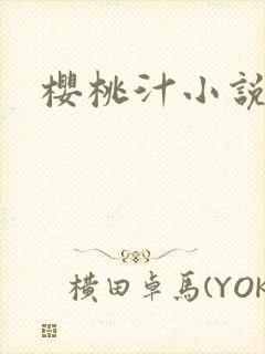 樱桃汁小说