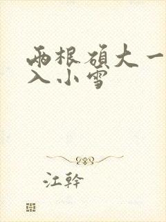 两根硕大一起挤入小雪