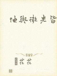 他与微光皆倾城封面