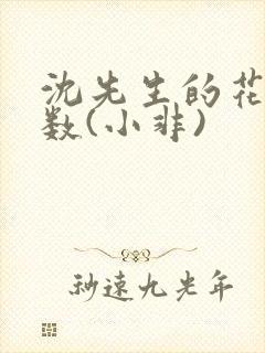 沈先生的花式调数(小非)