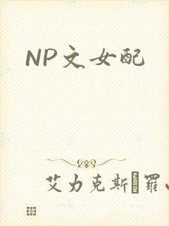 NP文女配