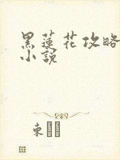 黑莲花攻略手册小说封面