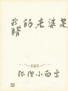 我的老婆是狐狸精