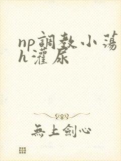 np调教小荡货h灌尿