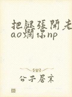 把腿张开老子cao烂你np