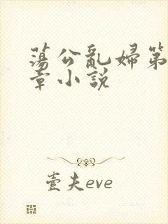 荡公乱妇第51章小说