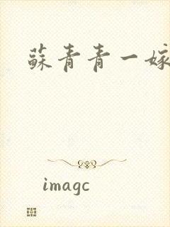 苏青青一嫁三夫