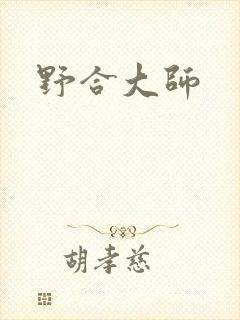 野合大师封面