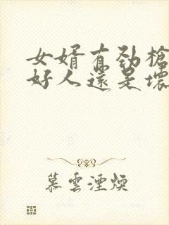 女婿有劲枪枪是好人还是坏人