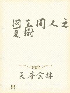 网王同人之桃生夏树