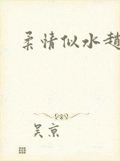 柔情似水赵雅儿