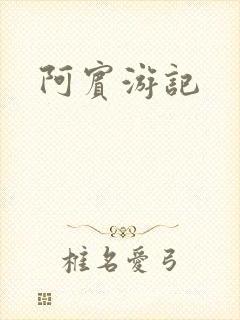 阿宾游记