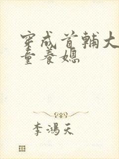 穿成首辅大人的童养媳