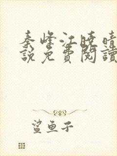 秦峰江晓晴的小说免费阅读