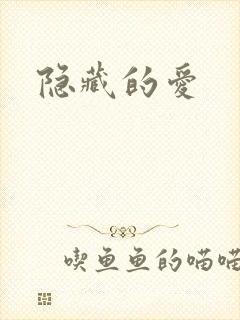 隐藏的爱封面
