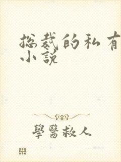 总裁的私有宝贝小说