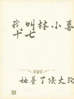 我叫林小喜今年十七