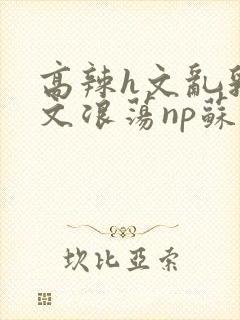 高辣h文乱乳h文浪荡np苏夏封面