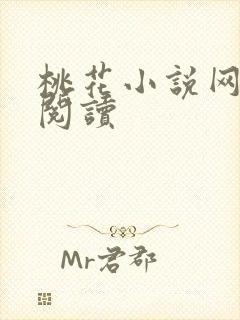 桃花小说网小说阅读