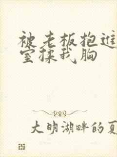 被老板抱进办公室揉我胸