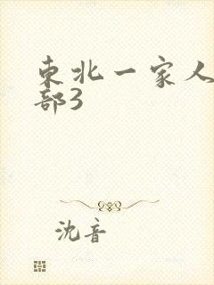 东北一家人第一部3封面