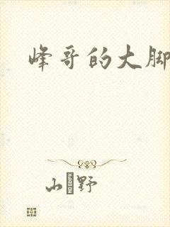 峰哥的大脚