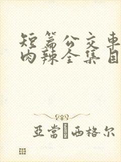 短篇公交车高h肉辣全集目录