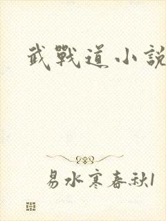 武战道小说