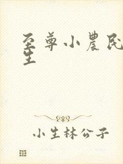 至尊小农民王木生