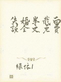 失婚半截白菜小说全文免费阅读封面