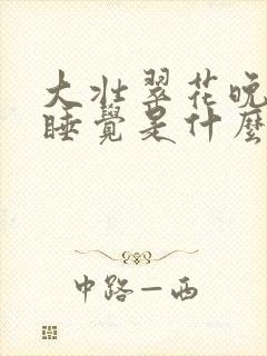 大壮翠花晚上不睡觉是什么电视剧