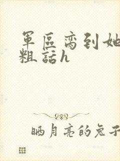 军区脔到她哭h粗话h封面