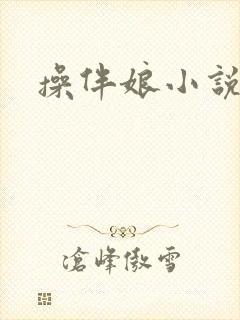 操伴娘小说封面